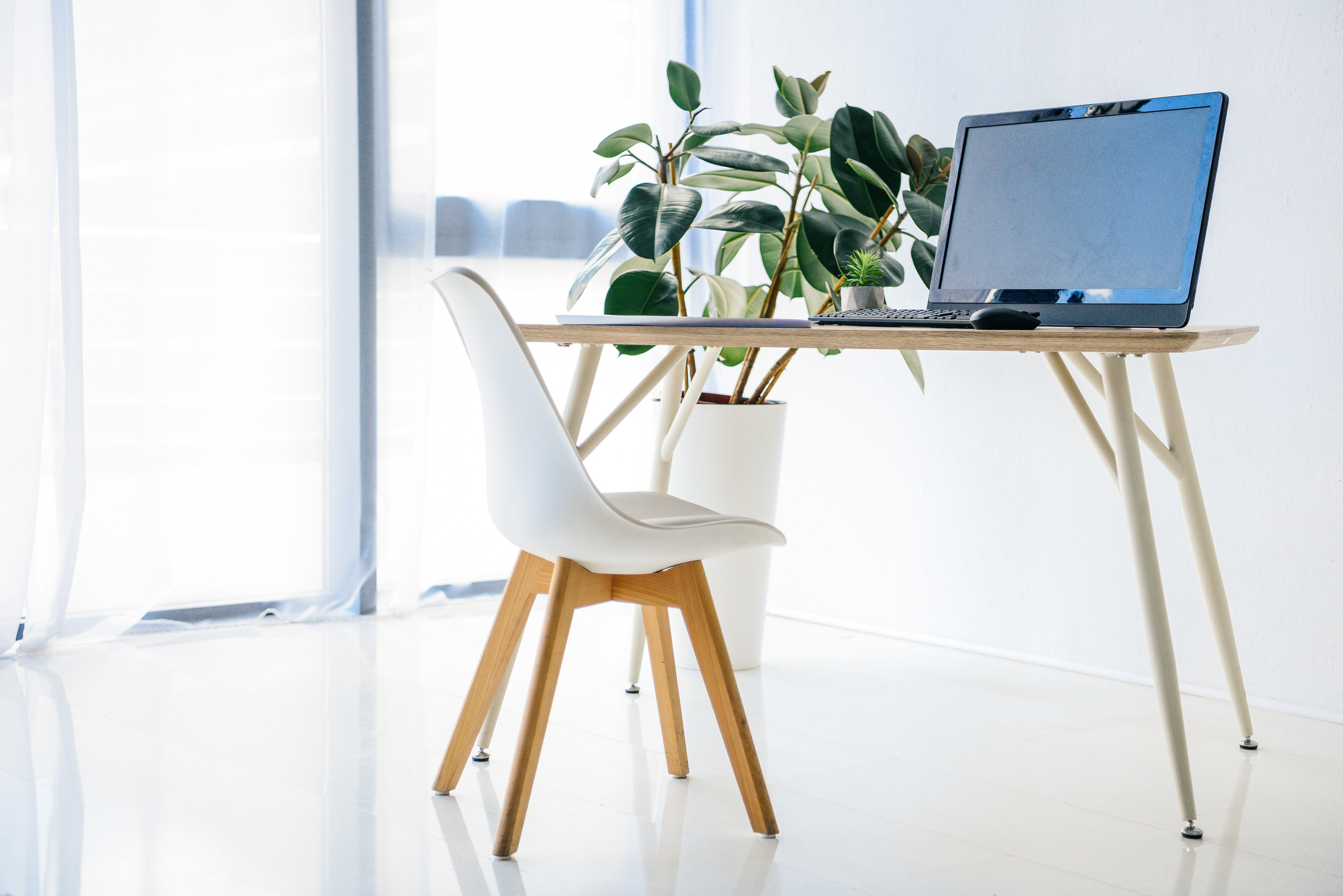 room with chair, table, potted plant, computer, computer mouse and computer keyboard